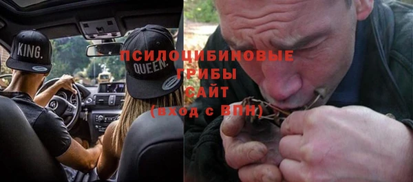 стаф Каменка