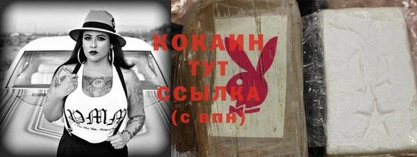 стаф Каменка