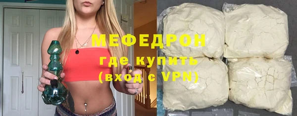 стаф Каменка