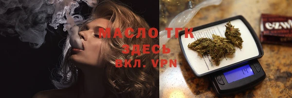 стаф Каменка