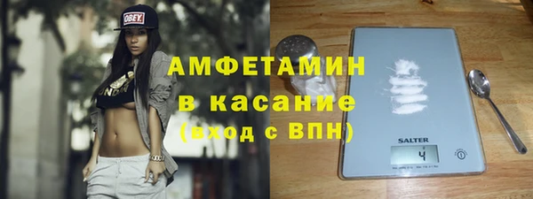 стаф Каменка