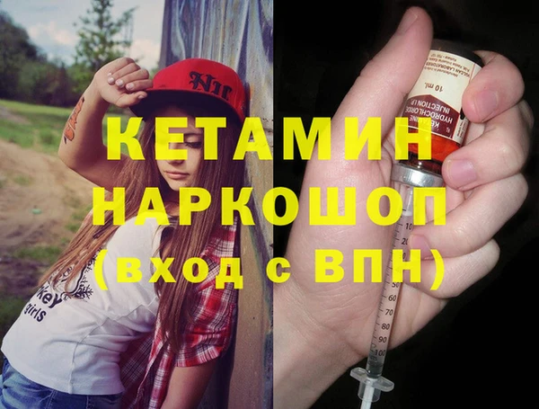 стаф Каменка