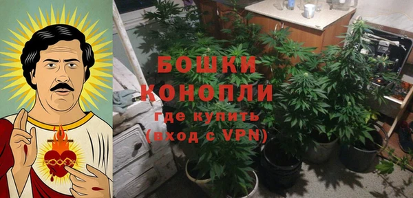стаф Каменка