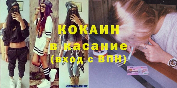 стаф Каменка