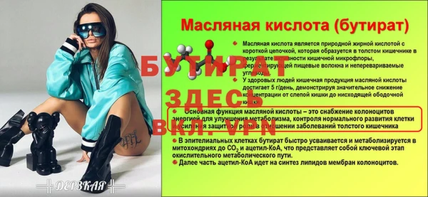 стаф Каменка