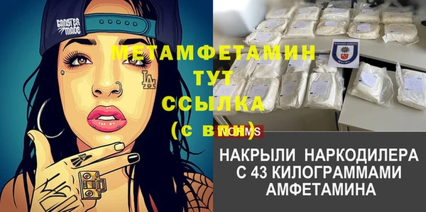 стаф Каменка