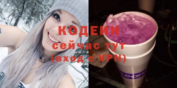 стаф Каменка