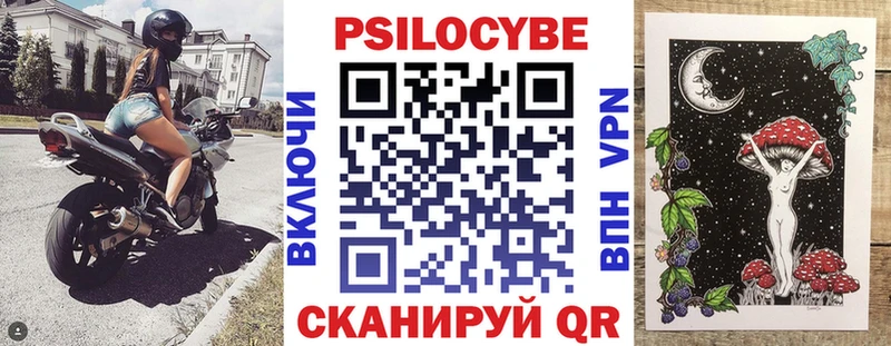 Галлюциногенные грибы Psilocybine cubensis  Чердынь 